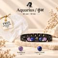 Aquarius Metallic Bracelet with Free Selenite Plate (With Certificate)