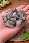 Natural Tourmalinated Quartz (Black Rutile) Raw Stone