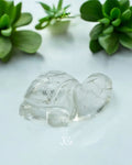 Crystal Turtles Jaipur Crystal Gems