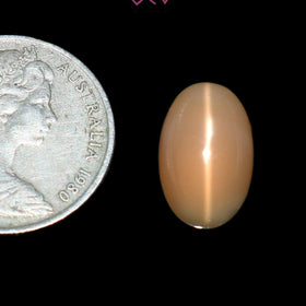 Natural Moonstone 8.50 Carat (With Certificate)