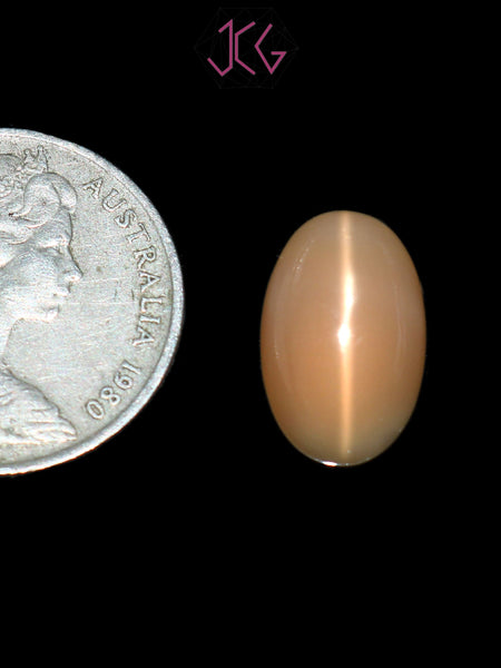 Natural Moonstone 8.50 Carat (With Certificate)