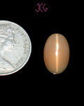 Natural Moonstone 8.50 Carat (With Certificate)