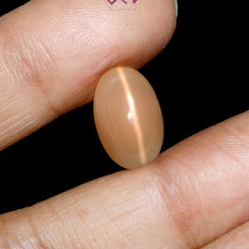 Natural Moonstone 8.50 Carat (With Certificate)