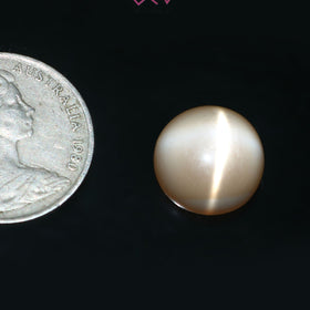 Natural Moonstone 10.40 Carat (With Certificate)