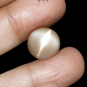 Natural Moonstone 10.40 Carat (With Certificate)