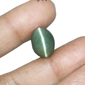 Natural Cat's Eye Lehsuniya Gemstone 11.62 Carat / 12.90 Ratti (With Certificate)