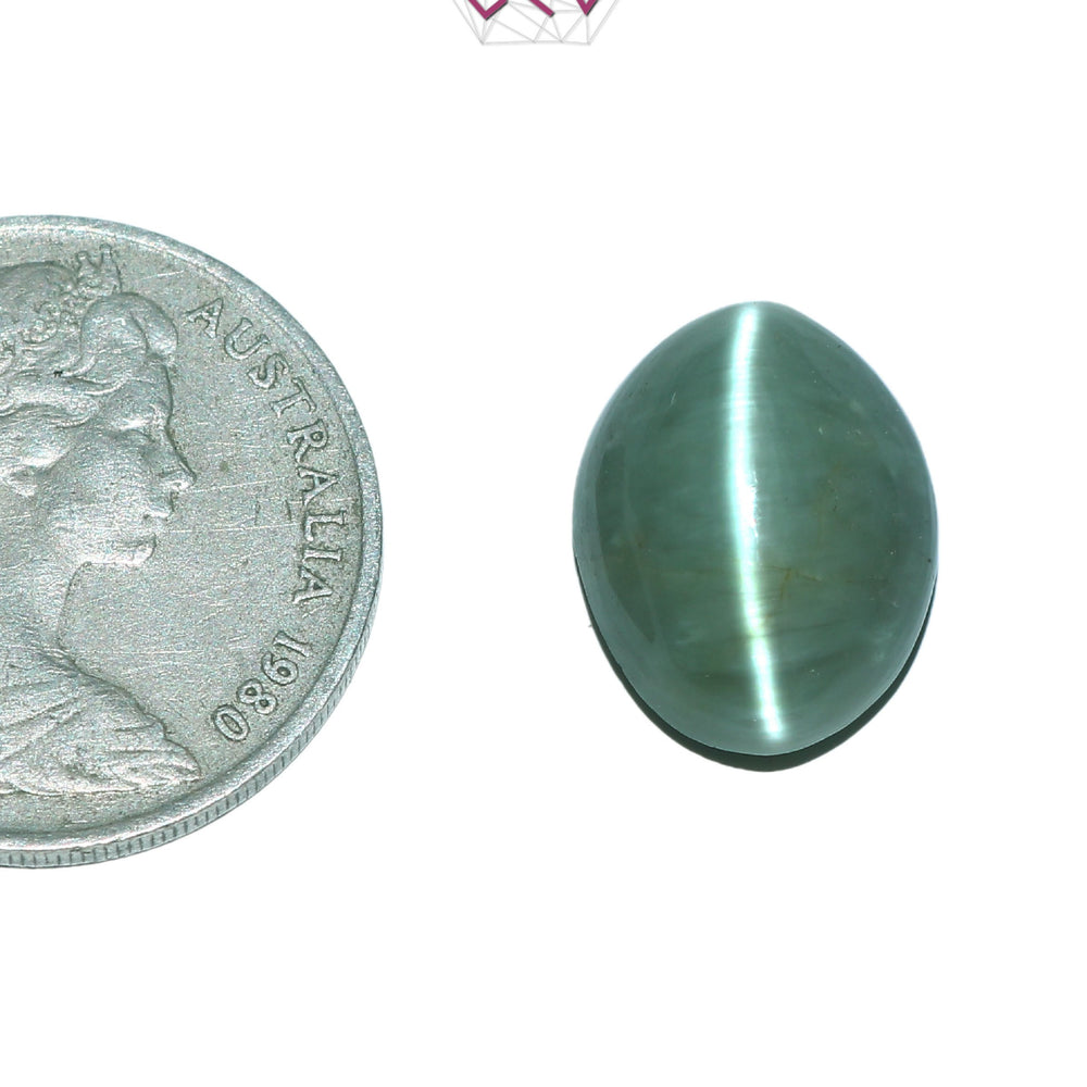 Natural Cat's Eye Lehsuniya Gemstone 11.34 Carat / 12.59 Ratti (With Certificate)