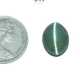 Natural Cat's Eye Lehsuniya Gemstone 11.34 Carat / 12.59 Ratti (With Certificate)
