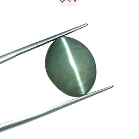 Natural Cat's Eye Lehsuniya Gemstone 11.34 Carat / 12.59 Ratti (With Certificate)