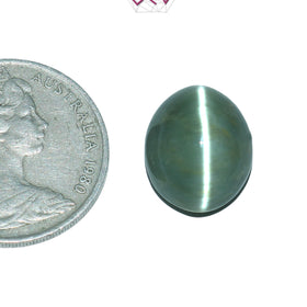 Natural Cat's Eye Lehsuniya Gemstone 10.42 Carat / 11.57 Ratti (With Certificate)