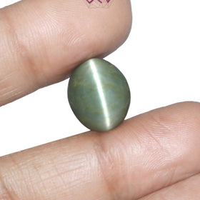 Natural Cat's Eye Lehsuniya Gemstone 10.42 Carat / 11.57 Ratti (With Certificate)