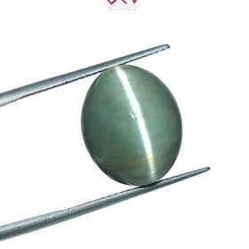 Natural Cat's Eye Lehsuniya Gemstone 12.29 Carat / 13.64 Ratti (With Certificate)