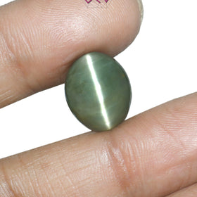Natural Cat's Eye Lehsuniya Gemstone 11.85 Carat / 13.15 Ratti (With Certificate)
