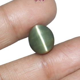 Natural Cat's Eye Lehsuniya Gemstone 11.46 Carat / 12.72 Ratti (With Certificate)