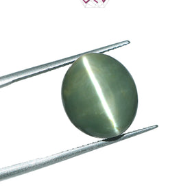 Natural Cat's Eye Lehsuniya Gemstone 11.46 Carat / 12.72 Ratti (With Certificate)