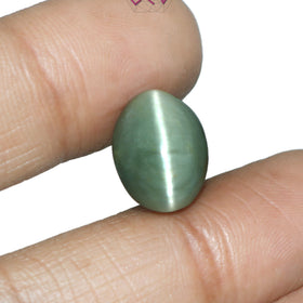 Natural Cat's Eye Lehsuniya Gemstone 9.30 Carat / 10.32 Ratti (With Certificate)