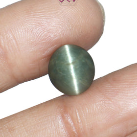 Natural Cat's Eye Lehsuniya Gemstone 6.71 Carat / 7.45 Ratti (With Certificate)
