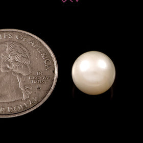 Natural Pearl (Moti) Stone 7.25 Carat / 8.00 Ratti (With Certificate)