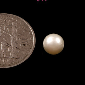 Natural Pearl (Moti) Stone 3.60 Carat / 4.00 Ratti (With Certificate)