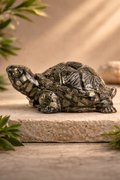 Vastu Pyrite Turtle for Wealth & Prosperity