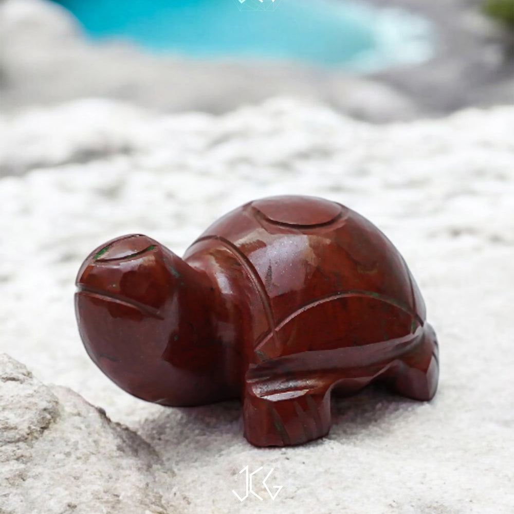 Red Jasper Turtles Jaipur Crystal Gems