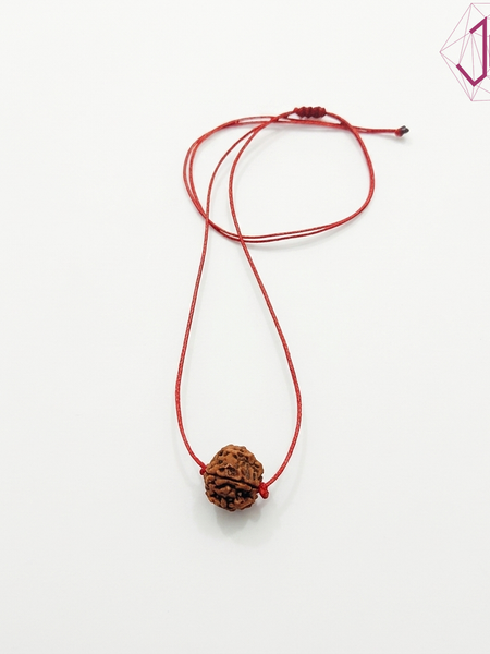 5 Mukhi Rudraksha Pendant in Adjustable Red Thread
