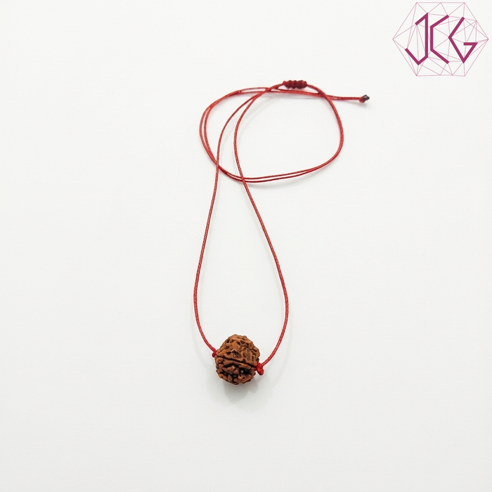 5 Mukhi Rudraksha Pendant in Adjustable Red Thread